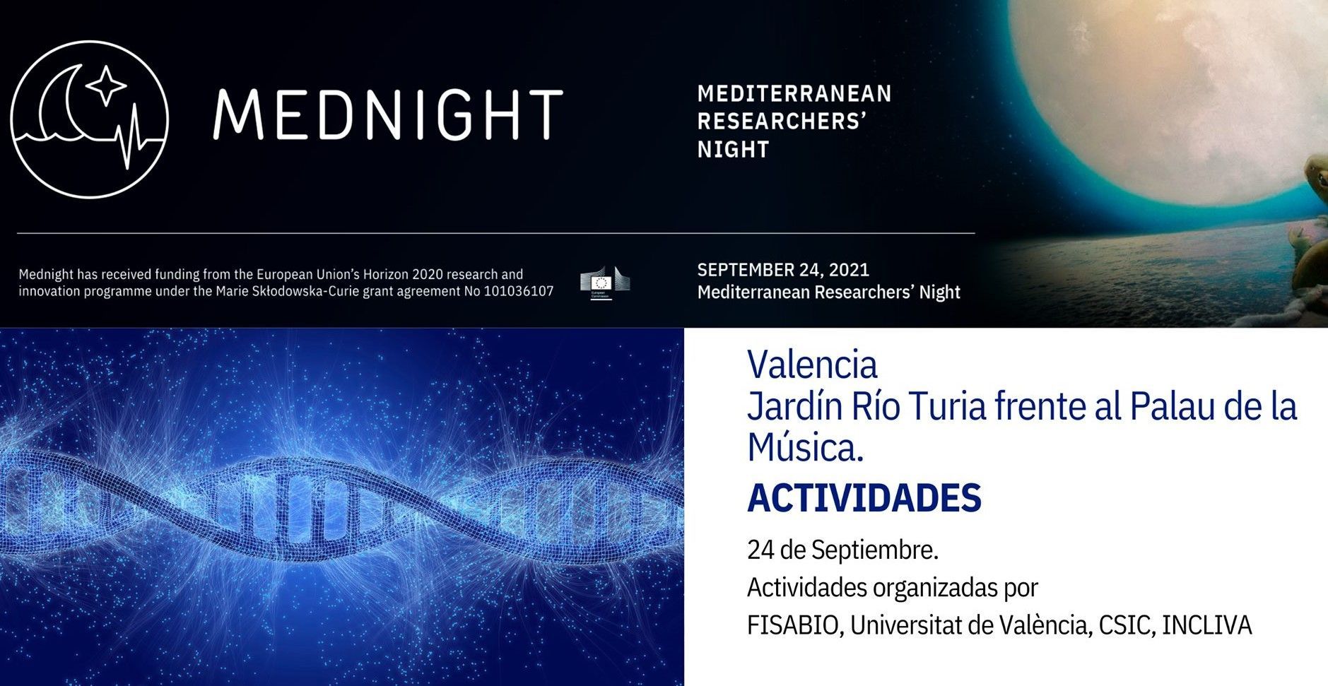 mednight cabecera