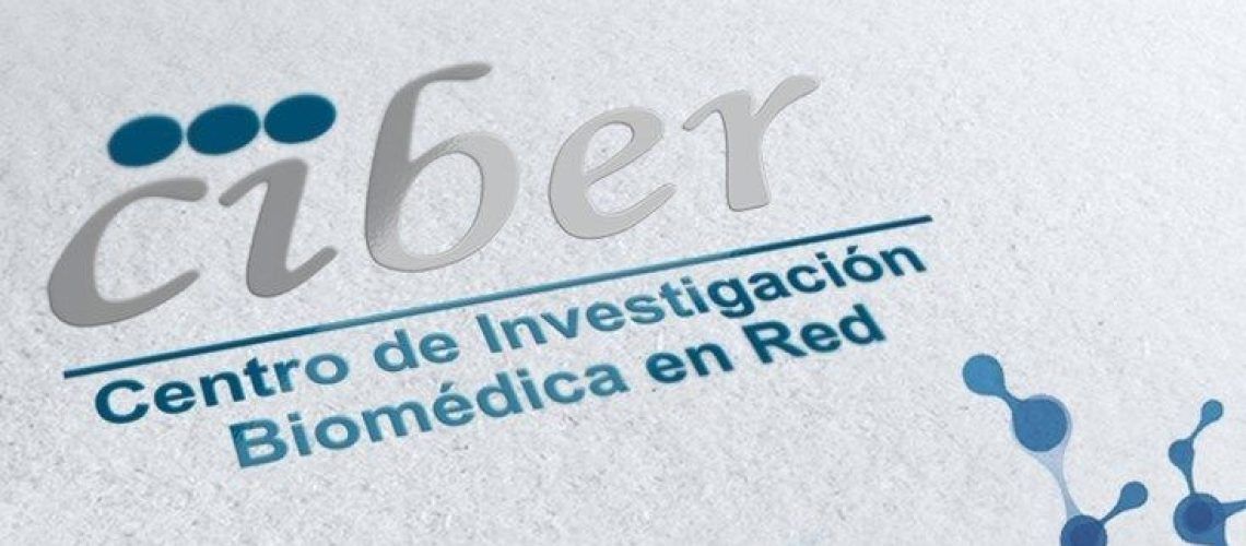 ciberisciii logo